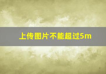 上传图片不能超过5m