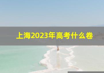 上海2023年高考什么卷