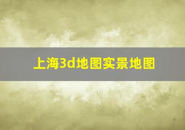 上海3d地图实景地图