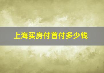 上海买房付首付多少钱