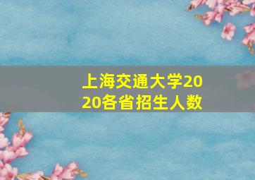 上海交通大学2020各省招生人数