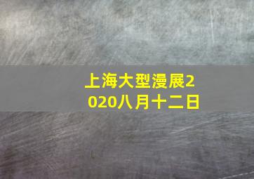 上海大型漫展2020八月十二日