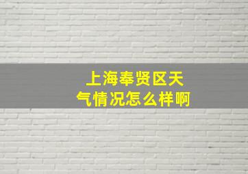 上海奉贤区天气情况怎么样啊