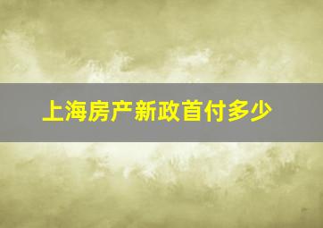 上海房产新政首付多少