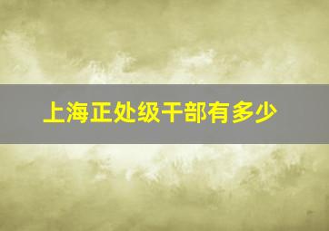 上海正处级干部有多少