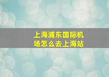 上海浦东国际机场怎么去上海站