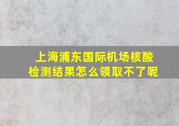 上海浦东国际机场核酸检测结果怎么领取不了呢