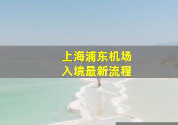 上海浦东机场入境最新流程