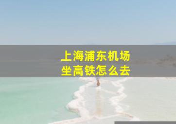 上海浦东机场坐高铁怎么去