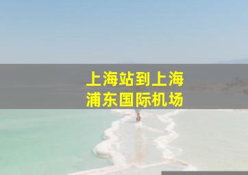 上海站到上海浦东国际机场