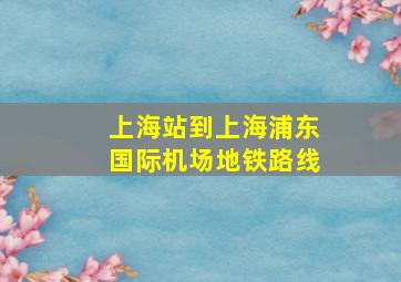 上海站到上海浦东国际机场地铁路线