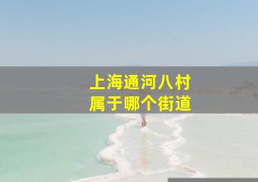 上海通河八村属于哪个街道