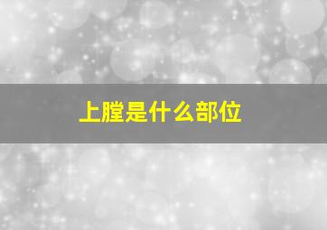 上膛是什么部位