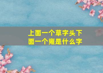 上面一个草字头下面一个雍是什么字