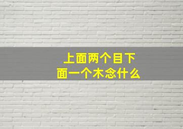 上面两个目下面一个木念什么