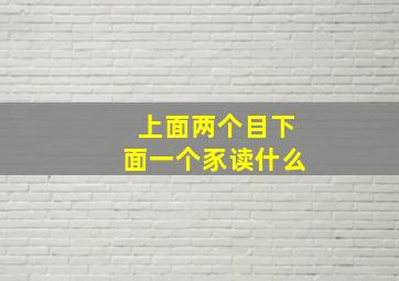 上面两个目下面一个豕读什么