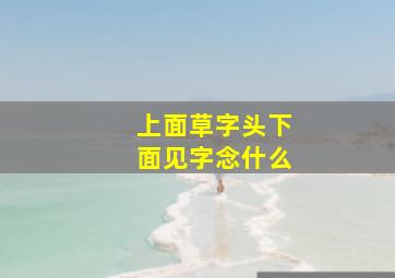 上面草字头下面见字念什么