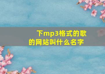 下mp3格式的歌的网站叫什么名字