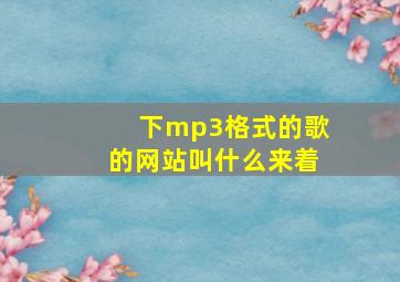 下mp3格式的歌的网站叫什么来着