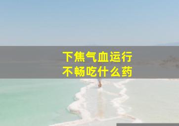 下焦气血运行不畅吃什么药