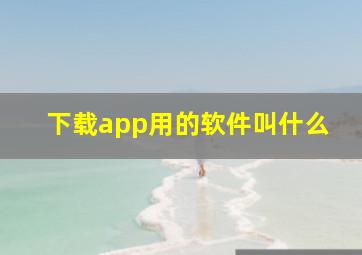 下载app用的软件叫什么