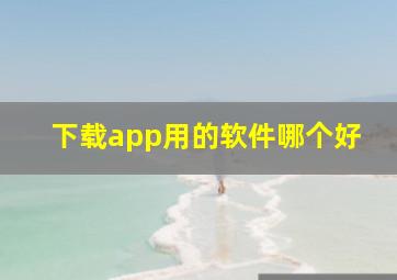 下载app用的软件哪个好