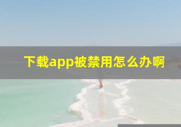 下载app被禁用怎么办啊