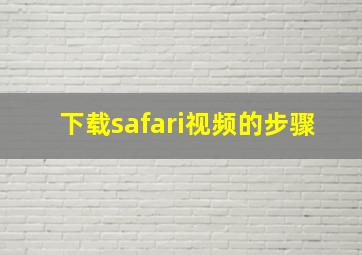 下载safari视频的步骤