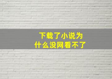 下载了小说为什么没网看不了