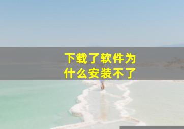 下载了软件为什么安装不了