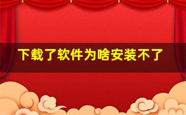 下载了软件为啥安装不了