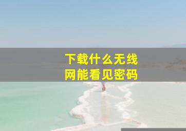 下载什么无线网能看见密码