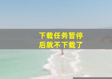 下载任务暂停后就不下载了