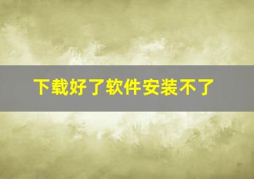 下载好了软件安装不了