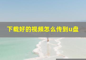 下载好的视频怎么传到u盘