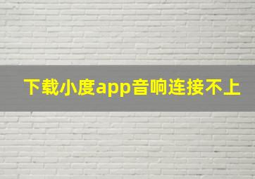 下载小度app音响连接不上