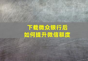 下载微众银行后如何提升微信额度