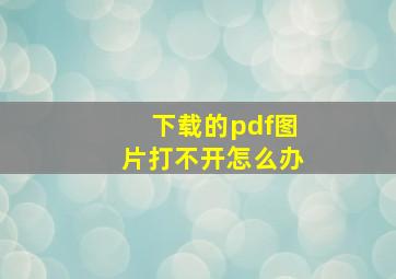 下载的pdf图片打不开怎么办