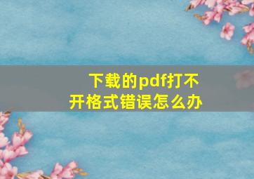 下载的pdf打不开格式错误怎么办