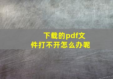 下载的pdf文件打不开怎么办呢