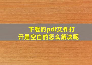 下载的pdf文件打开是空白的怎么解决呢