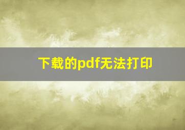 下载的pdf无法打印