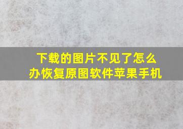 下载的图片不见了怎么办恢复原图软件苹果手机