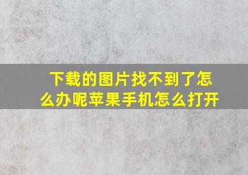 下载的图片找不到了怎么办呢苹果手机怎么打开