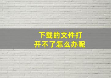 下载的文件打开不了怎么办呢