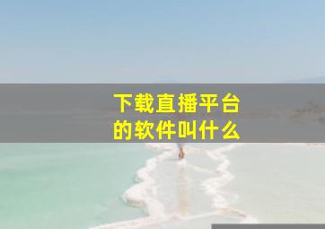 下载直播平台的软件叫什么