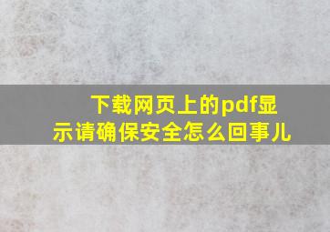 下载网页上的pdf显示请确保安全怎么回事儿