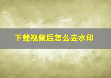 下载视频后怎么去水印