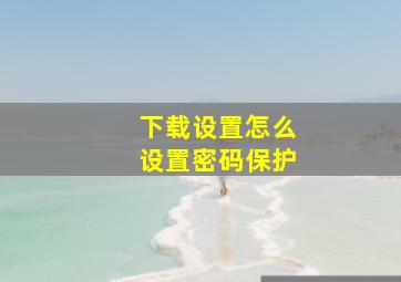 下载设置怎么设置密码保护