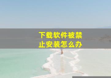 下载软件被禁止安装怎么办